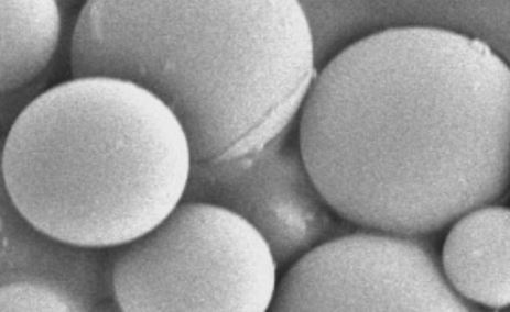 Exploring the Potential Applications of Fluorescent Microspheres